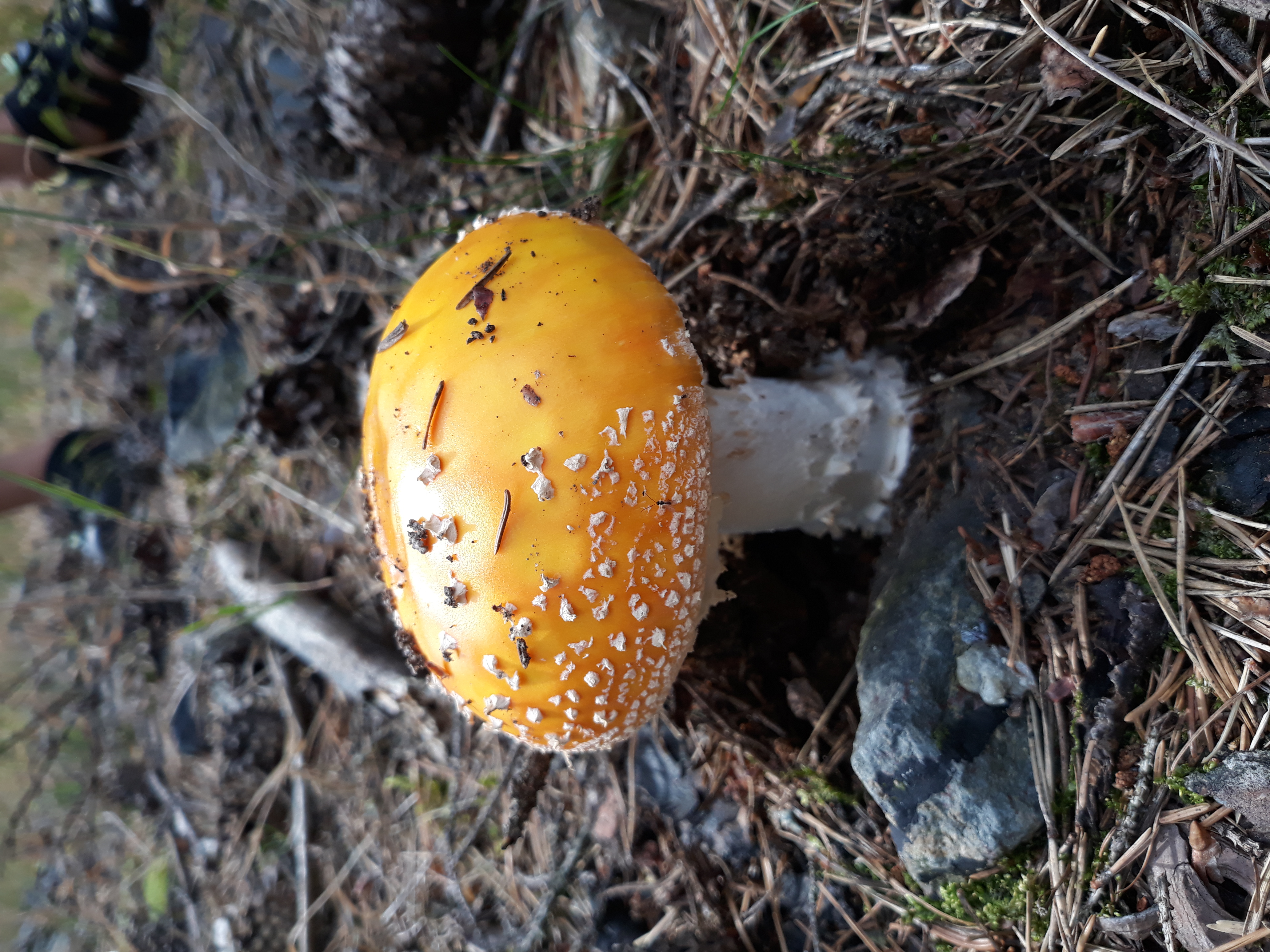 Ilustrační obrázek